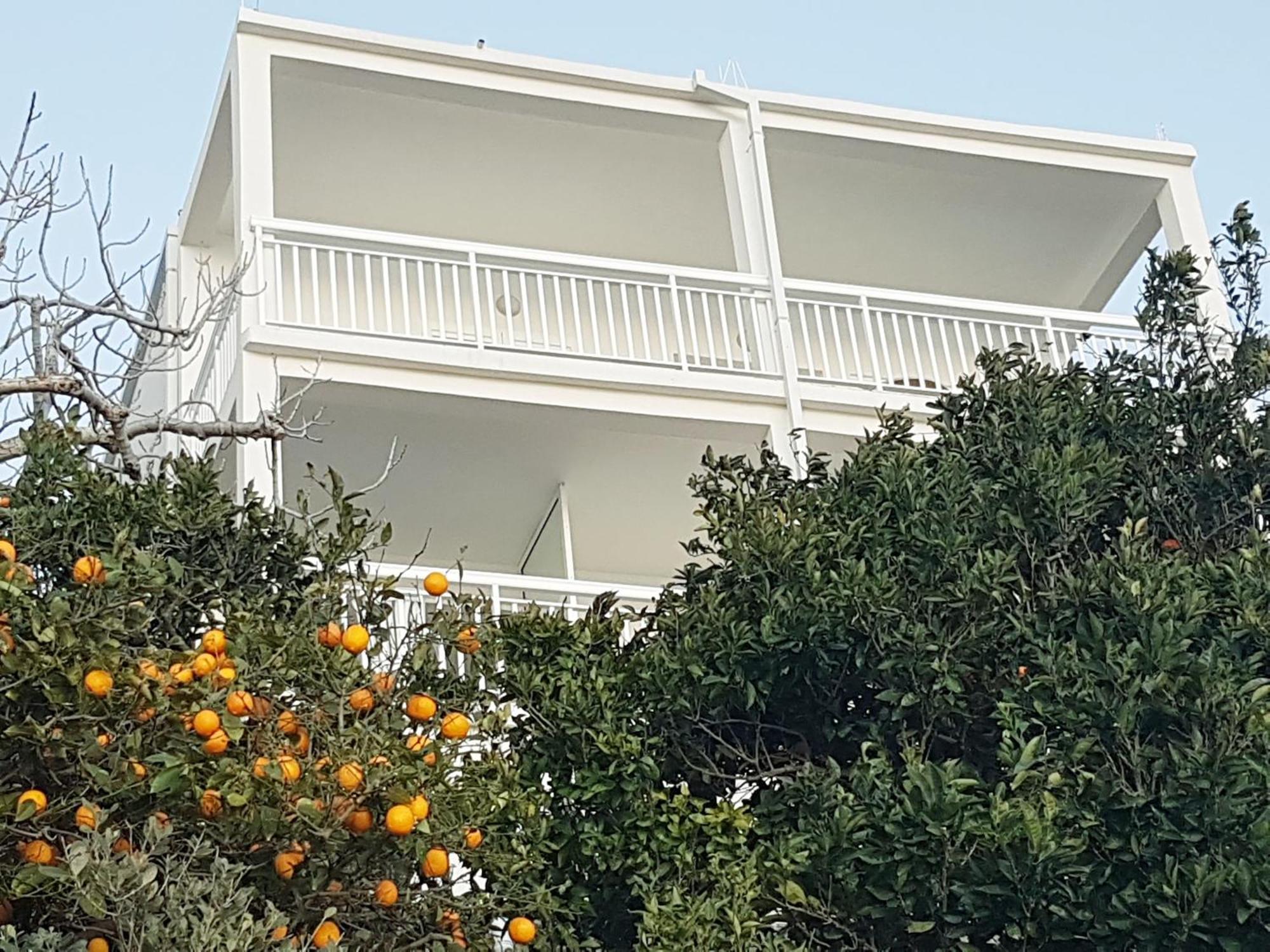 Apartmani Anda Živogošće Esterno foto